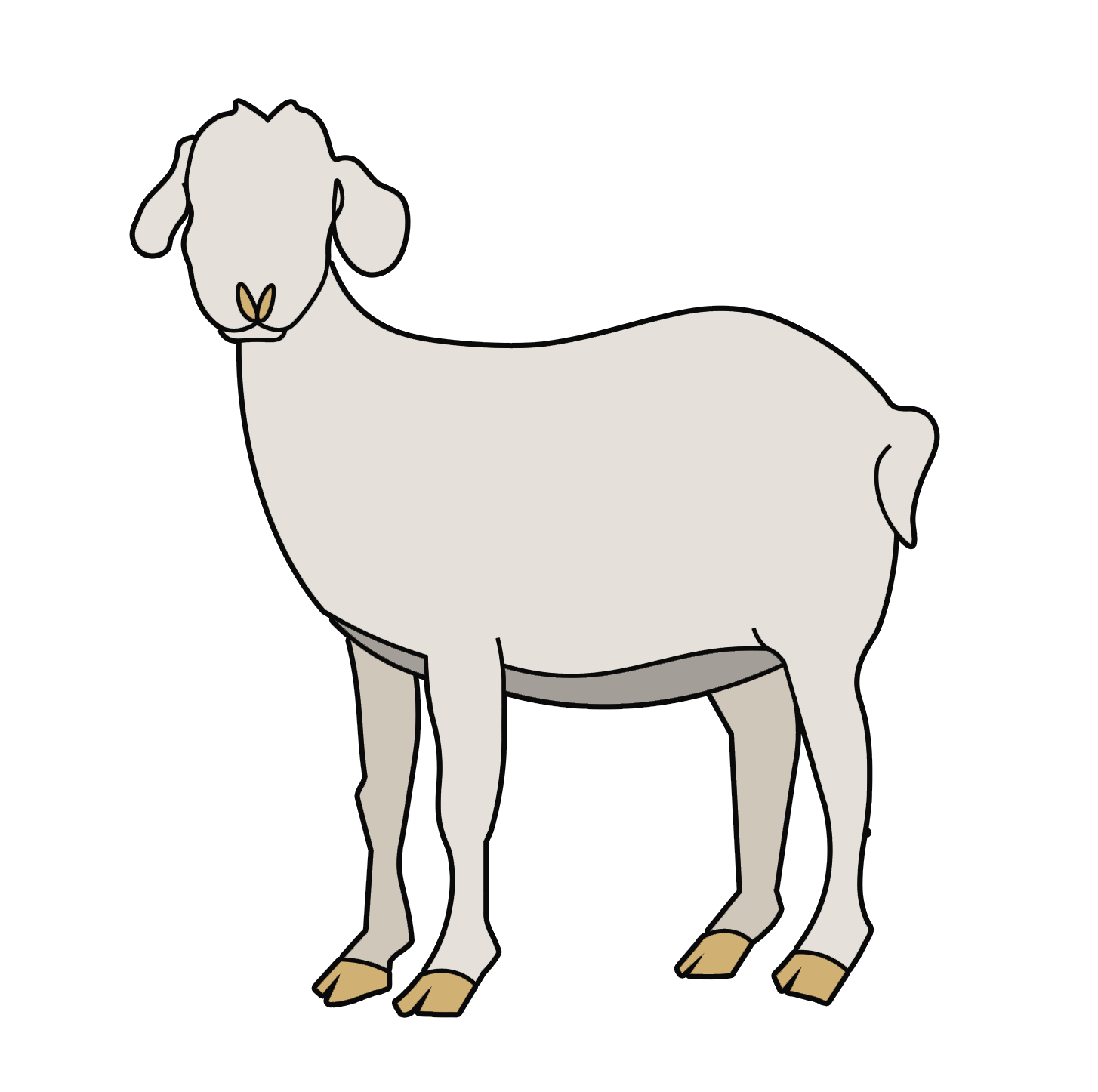 Kiid & The Goat